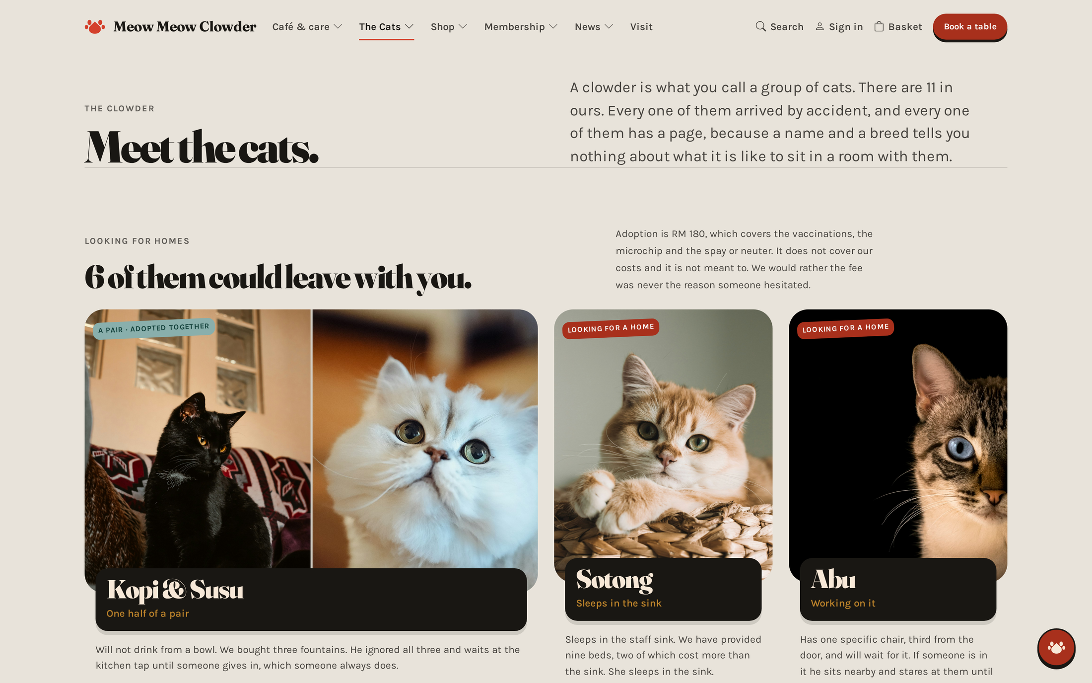 The cats