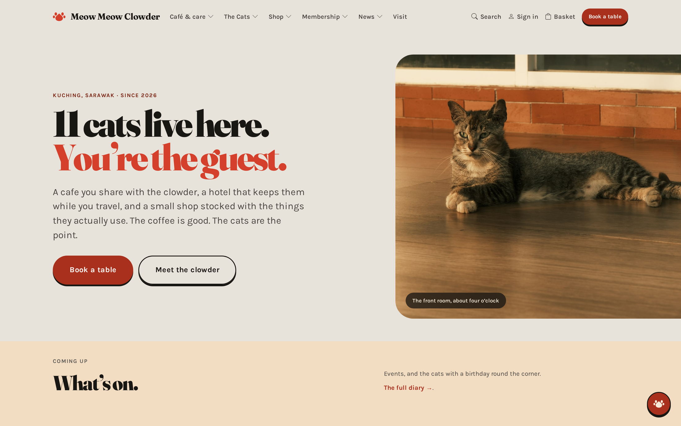 Website